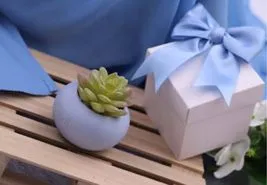 Bomboniere green con piante grasse e packaging elegante | Stile naturale